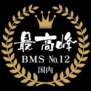 宮崎牛BMSNO12　石川精肉店