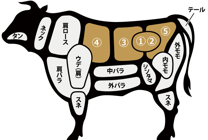 牛肉の部位